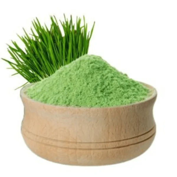 wheatgrass-powder2